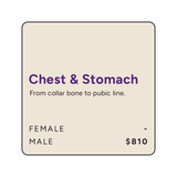 AFT Chest & Stomach